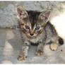 Little One