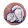 Cream colored Kitten