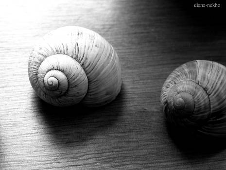 snails