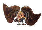 Noctowl used Confusion! by DragonchildX