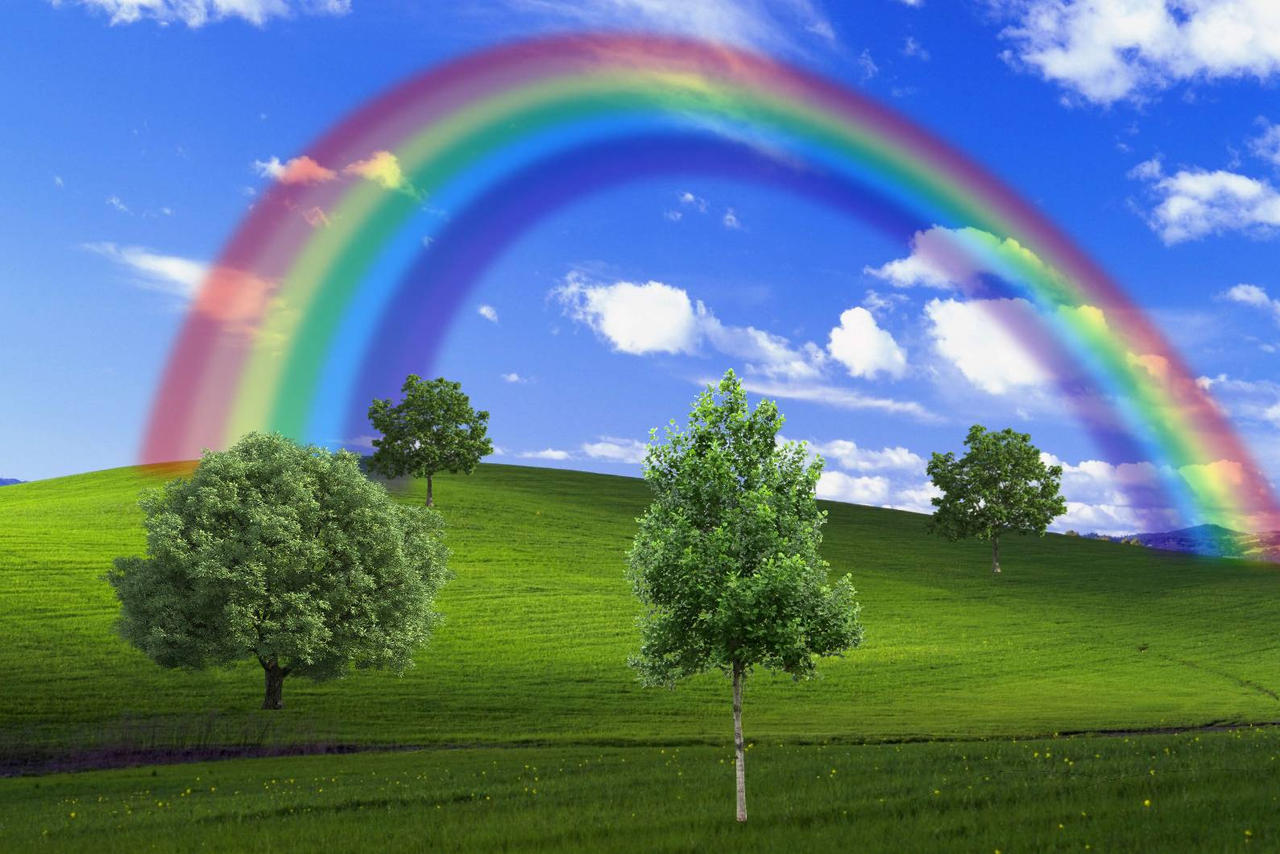 Windows XP Forest Edition (Own Wallpaper) by OrangeAR on DeviantArt