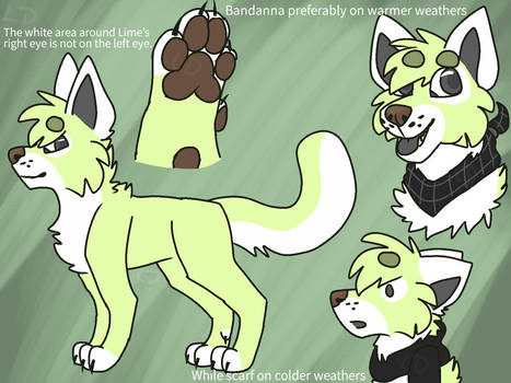 Lime REF for Autumn