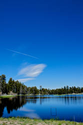 Lonely Cloud