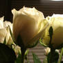 39: Roses for Love