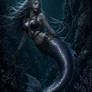 Seahorse/ponygirl (2)