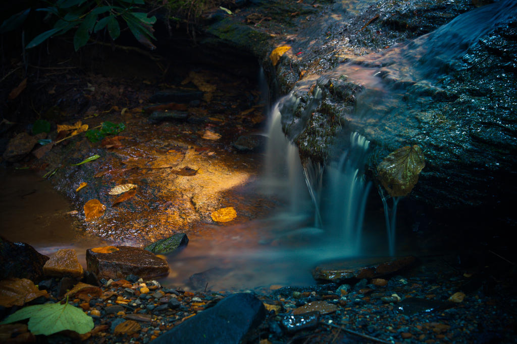 Lighted Stream