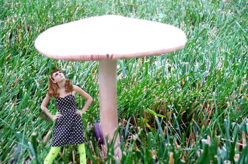 Wow that toadstool is big. by Cherrymoose20 on DeviantArt