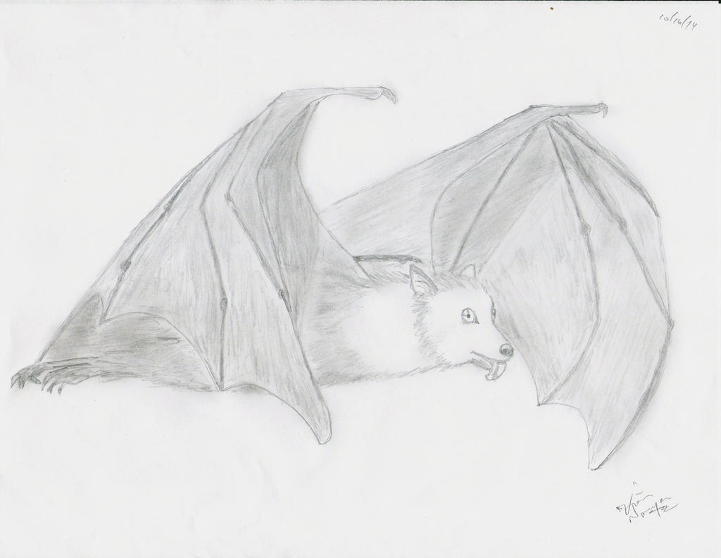 My Main Animal Spirit Guide: Bat