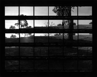 contact sheet montage three