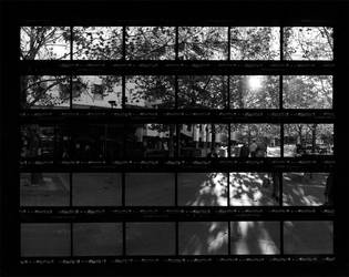 contact sheet montage seven