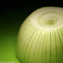 Onion