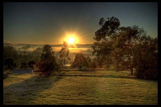 Winter Morning