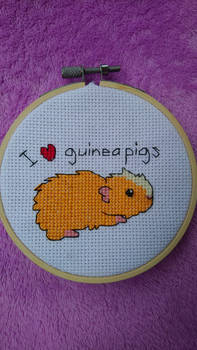 I love guinea pigs cross stitch