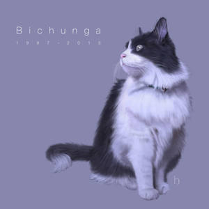 Bichunga