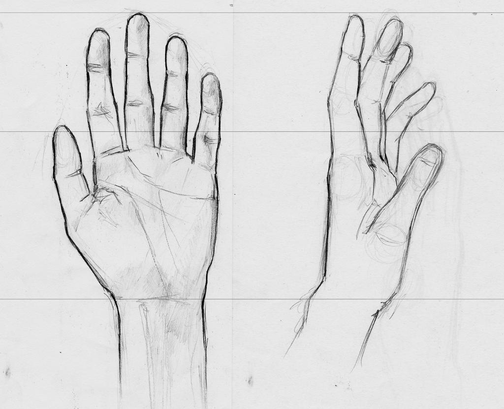 Hand modelsheet by CucumberWhale on DeviantArt
