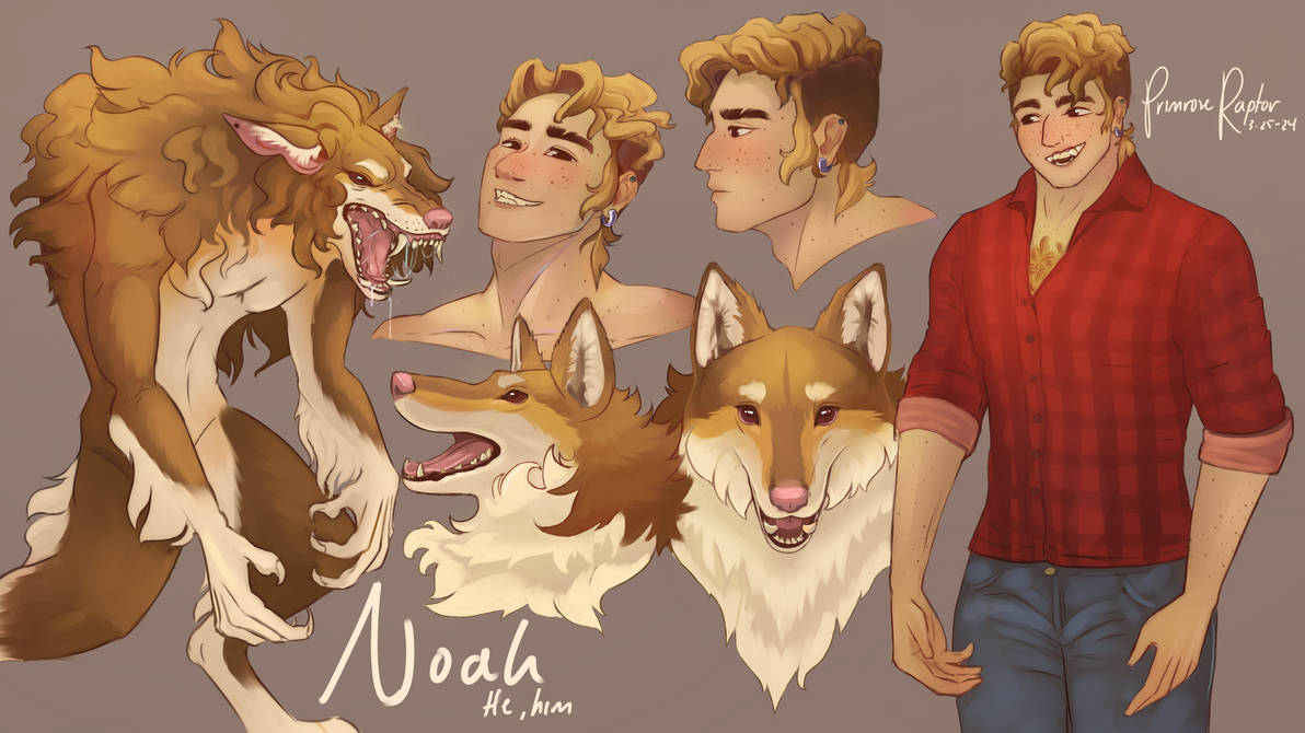 Noah Werewolf OC By PrimroseRaptor On DeviantArt noah-werewolf-oc-by-primroseraptor-on-deviantart