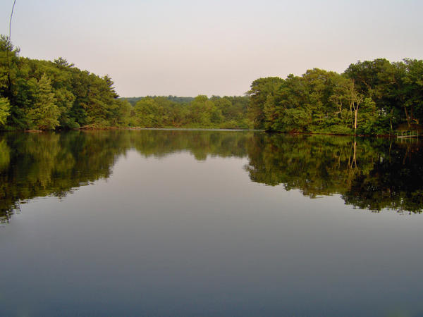 Hayes Pond