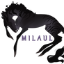 Mil | Hind | Raider