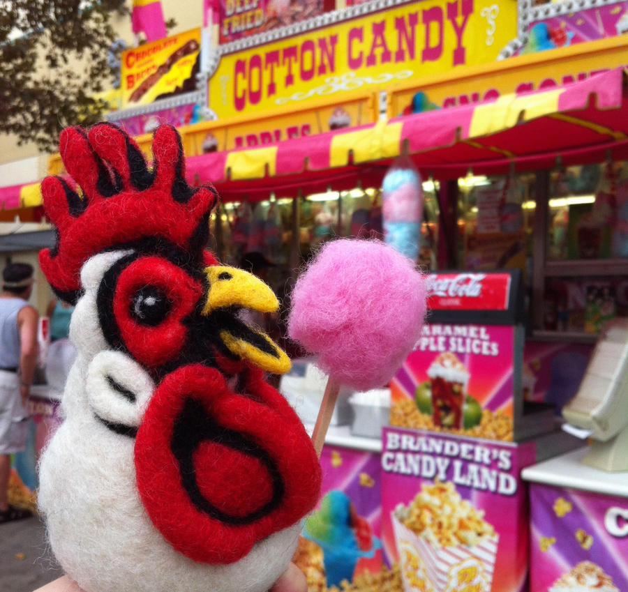 Felted Chicken Head at the Fair