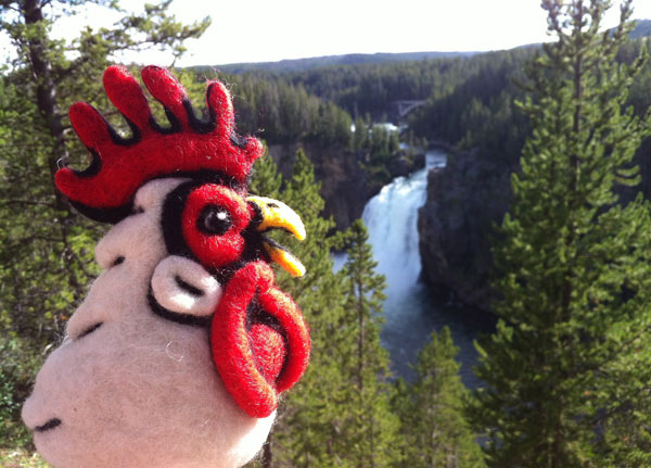 Felted Chicken Head in Yellowstone