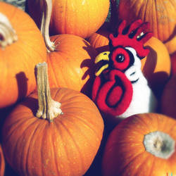 Felted Chicken Head at the Pumpkin Patch