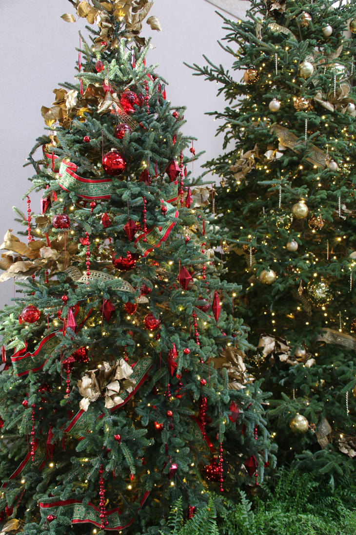 LGChristmas19 by SilkenWinds LGChristmas19 by SilkenWinds