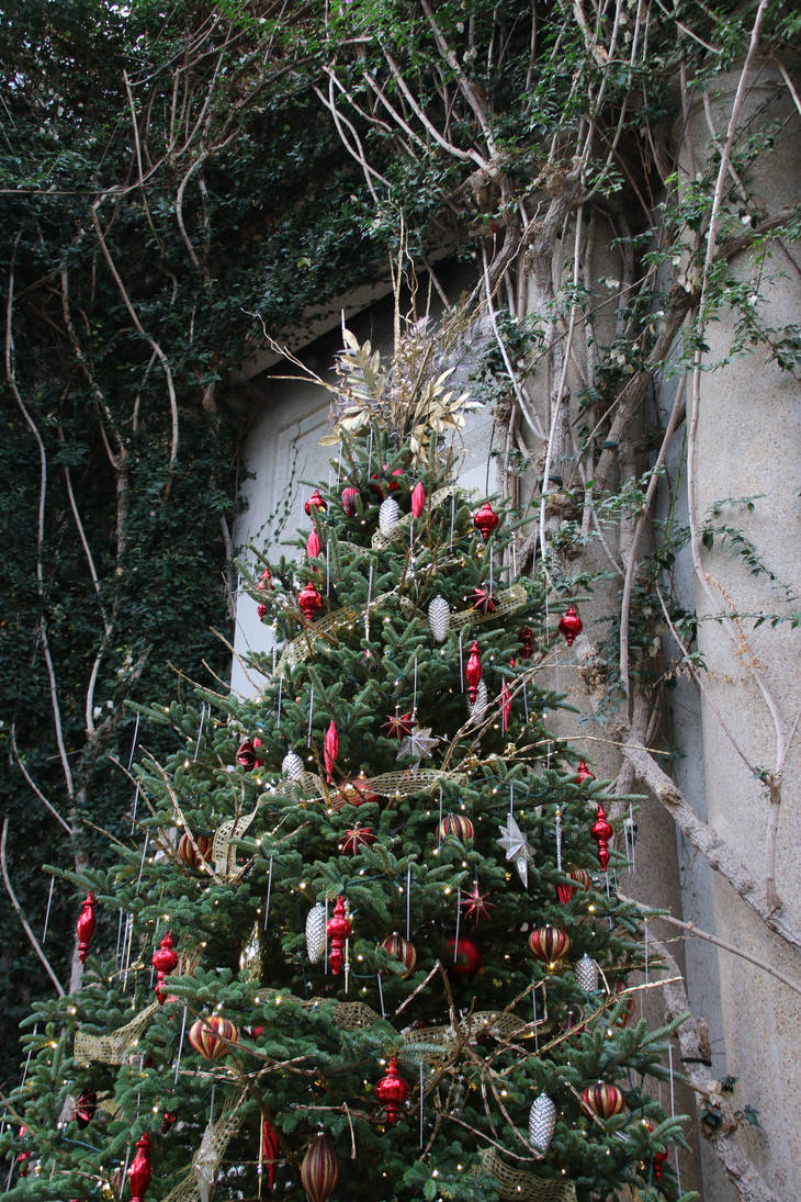 LGChristmas26 by SilkenWinds LGChristmas26 by SilkenWinds