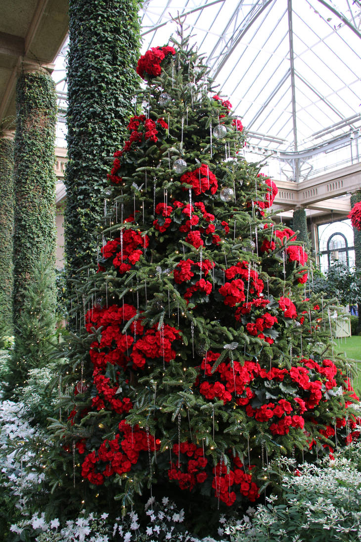 LGChristmas36 by SilkenWinds LGChristmas36 by SilkenWinds