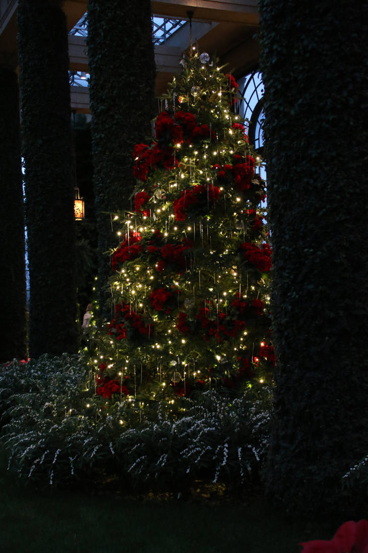 LGChristmas73 by SilkenWinds LGChristmas73 by SilkenWinds