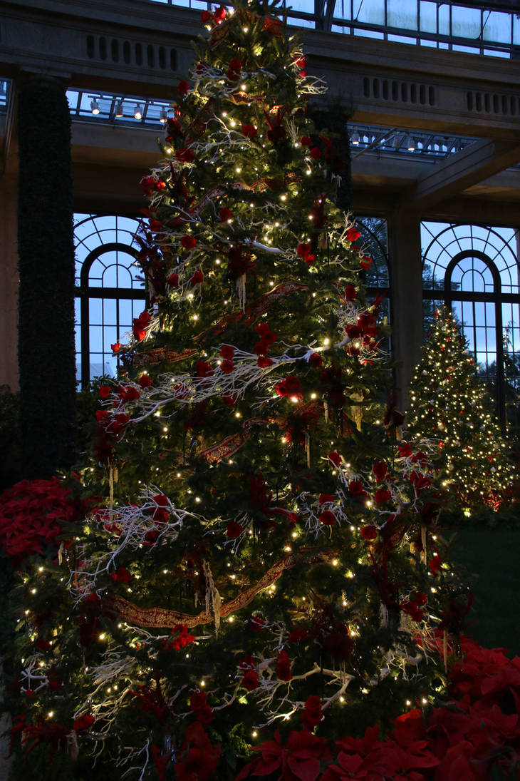LGChristmas72 by SilkenWinds LGChristmas72 by SilkenWinds