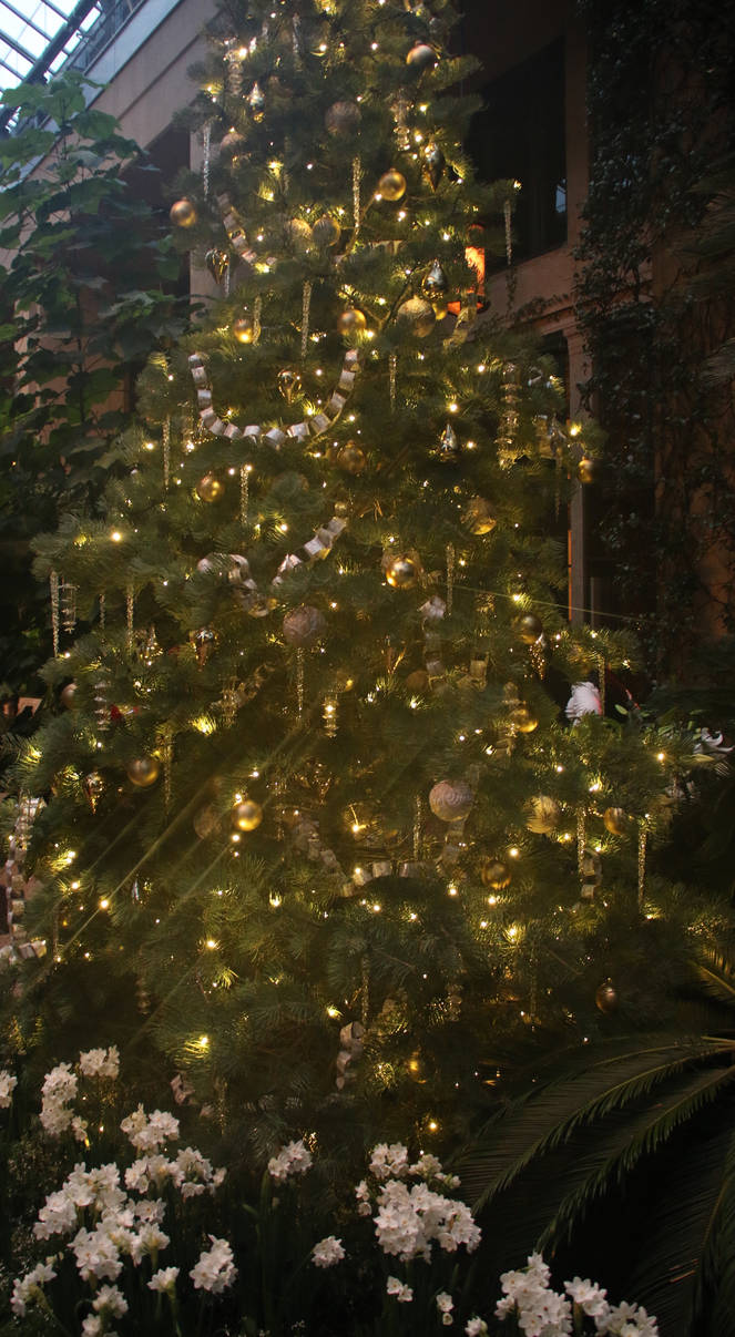 LGChristmas69 by SilkenWinds LGChristmas69 by SilkenWinds