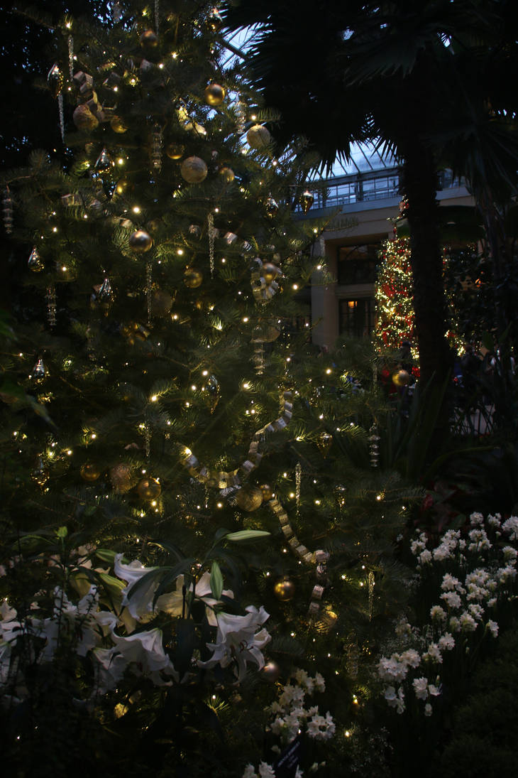 LGChristmas68 by SilkenWinds LGChristmas68 by SilkenWinds