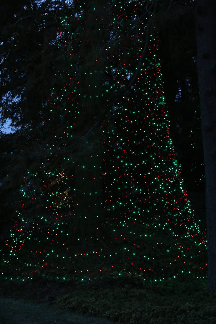 LGChristmas64 by SilkenWinds LGChristmas64 by SilkenWinds