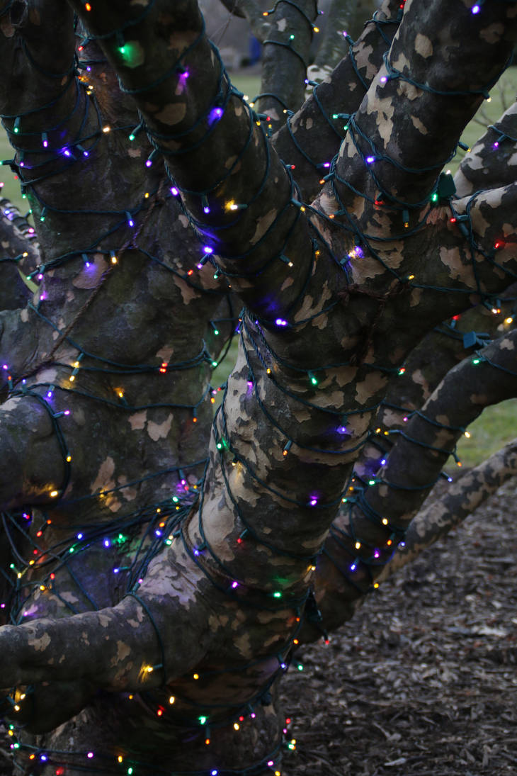 LGChristmas62 by SilkenWinds LGChristmas62 by SilkenWinds