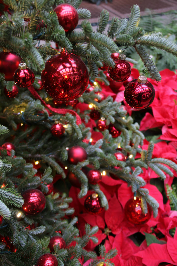 LGChristmas61 by SilkenWinds LGChristmas61 by SilkenWinds