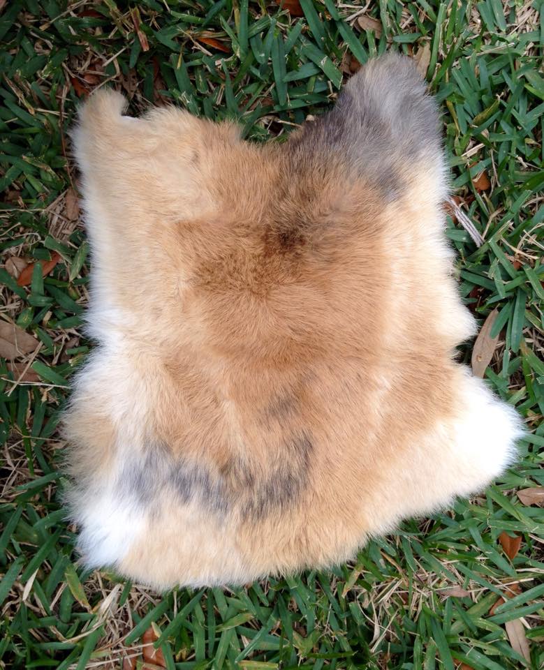 Rabbit Pelt SOLD