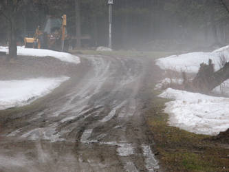 Fog on the Dirt