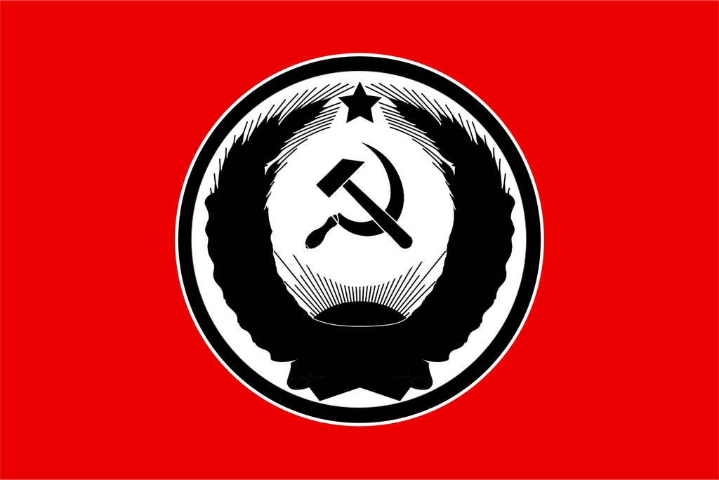 Modernized Nazbol Flag by ColumbianSFR on DeviantArt