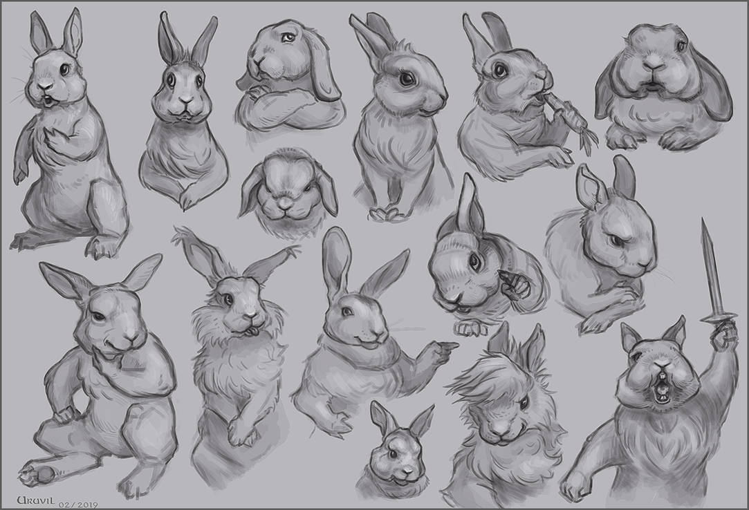 rabbits by Uruvil on DeviantArt