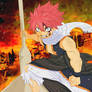 Dragon Slayer Natsu