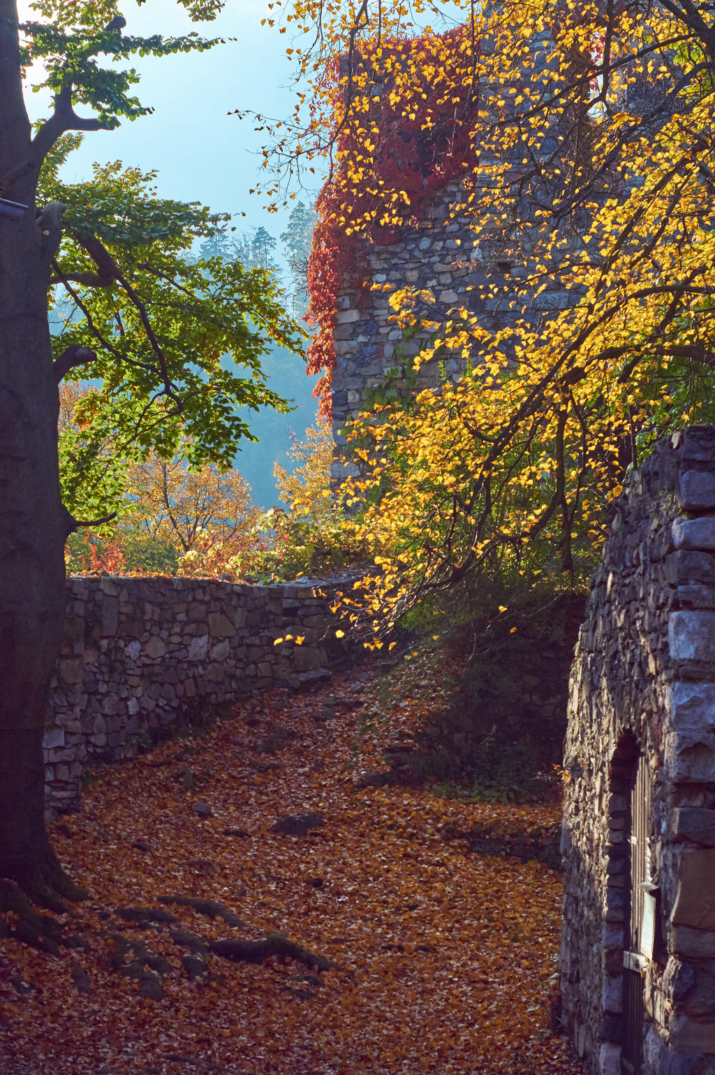 HerbstZauber