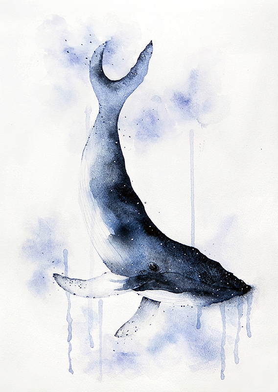 Whale Watercolor