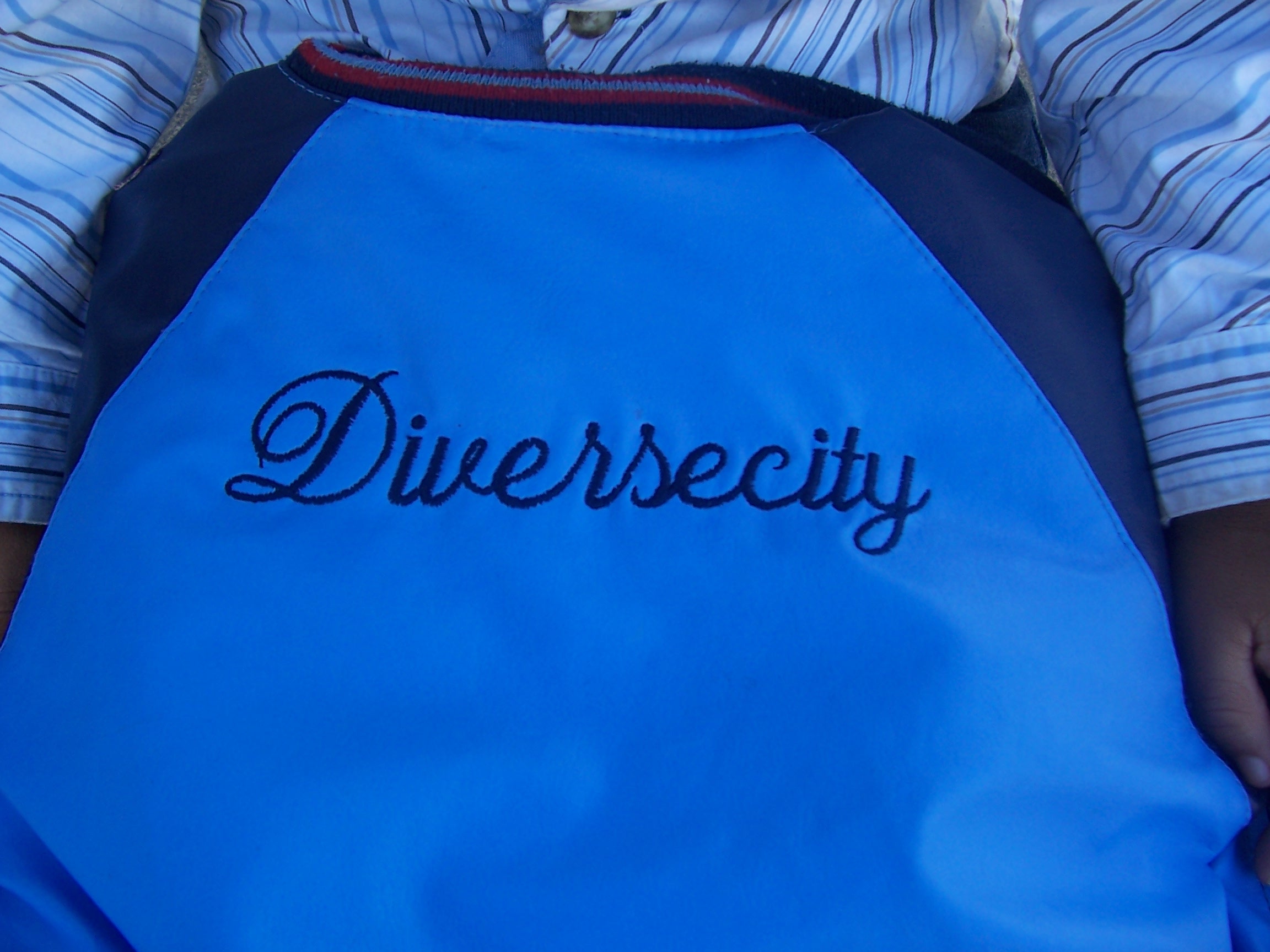 Diversecity