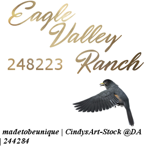 Stable Avatar ~ Eagle Valley Ranch