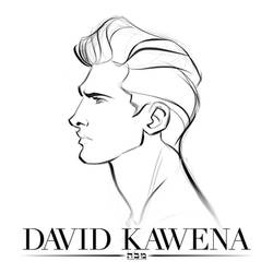 David Kawena - 2013 Logo