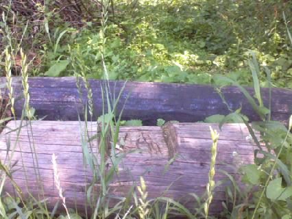 giant lincoln logs