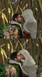Malik and Altair - Owls
