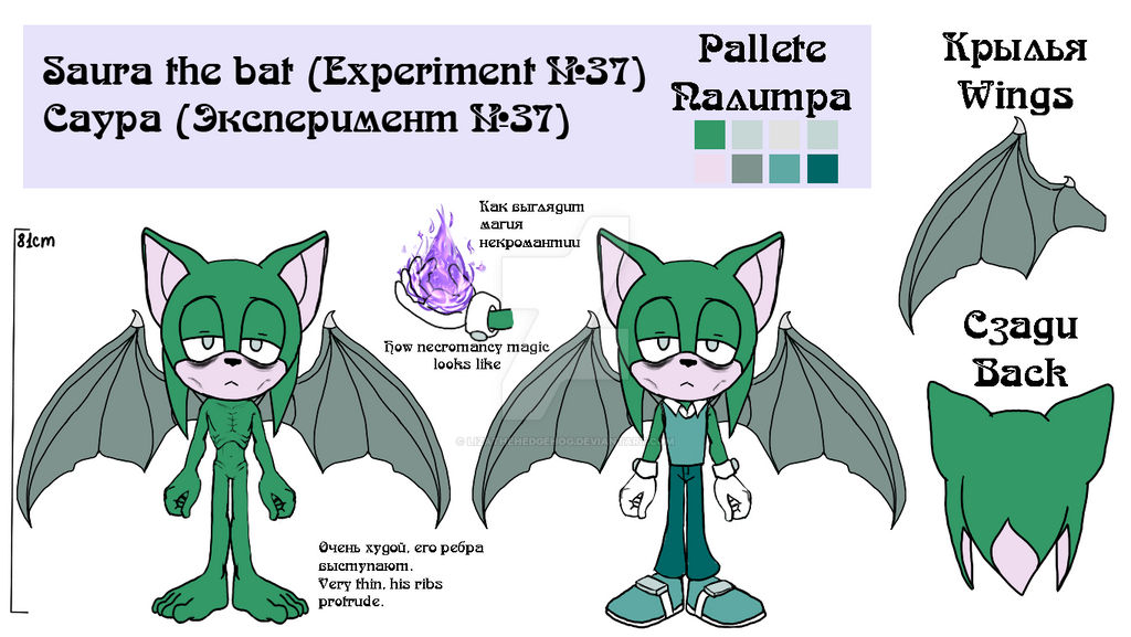 Saura the bat reference by LizaTheHedgehog on DeviantArt
