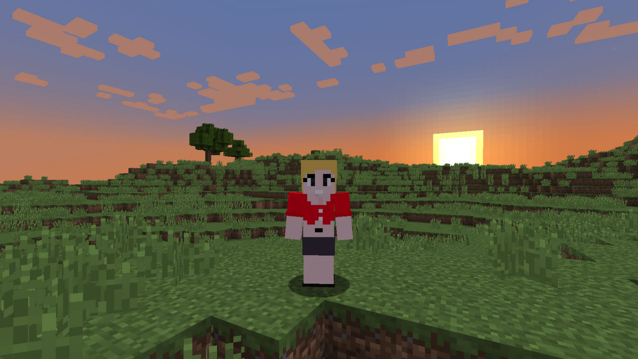 Minecraft - Angi by Swordsparks by toainsully on DeviantArt