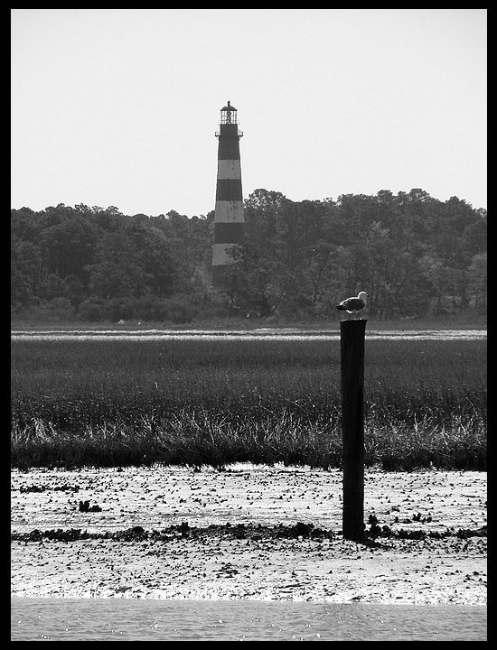 Chincoteague Island 2